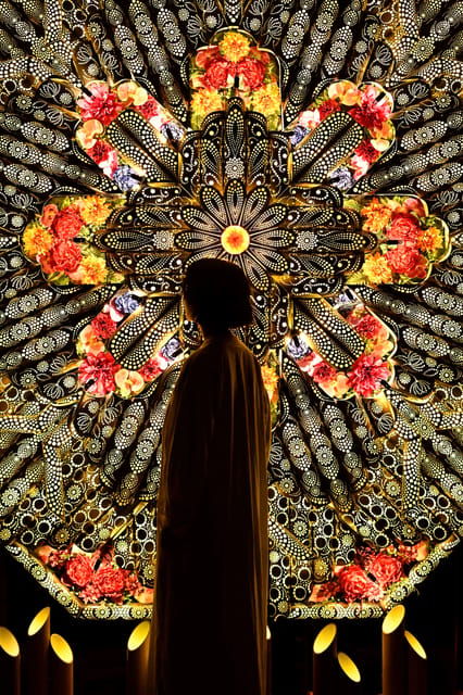 The Princess Kaguyas Glowing Garden in Sakuramachi Kumamoto - Exhibition Highlights