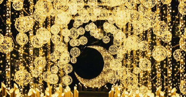 The Princess Kaguyas Glowing Garden in Sakuramachi Kumamoto - Accessibility and Restrictions