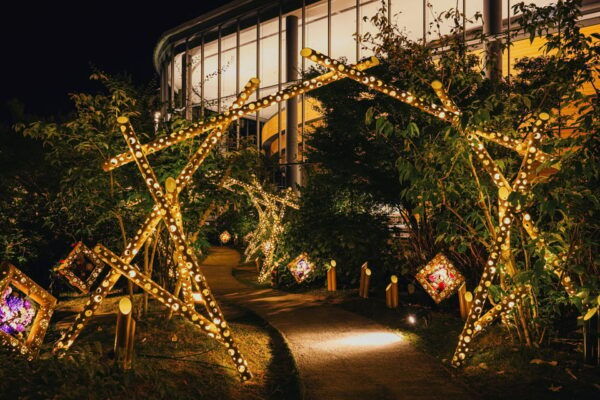 The Princess Kaguyas Glowing Garden in Sakuramachi Kumamoto - Weather and Cancellation Policy