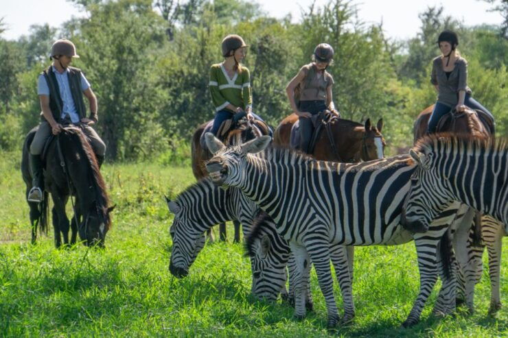 The Private Great Africa Escape 11 Days, Cape Town to Chobe - Highlighted Activities and Accommodation