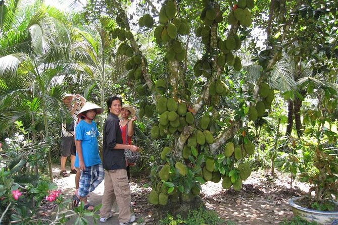 The Private Non-Touristy Mekong Delta Full Day Tour From HCM City - Itinerary Overview