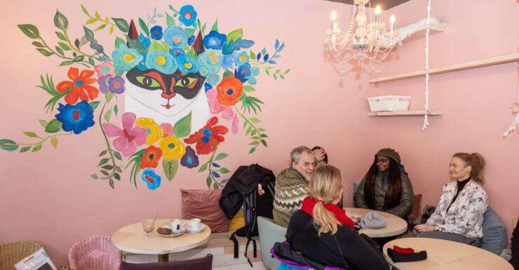 The Private Reykjavik CatWalk - Activity Details