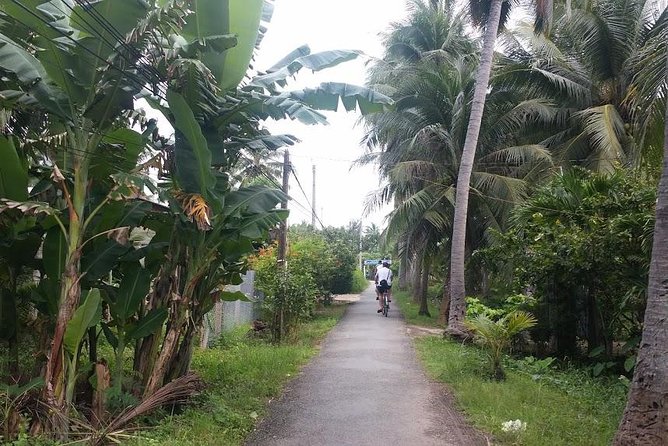 The Private Ultimate Mekong Delta on Coconut Kingdom Ben Tre Tour - The Sum Up