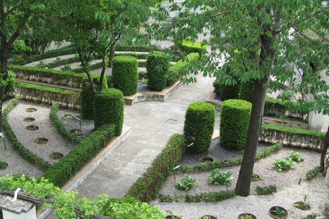 The Private Walking Tour of the Historical Center of Salerno - Historical Center Highlights