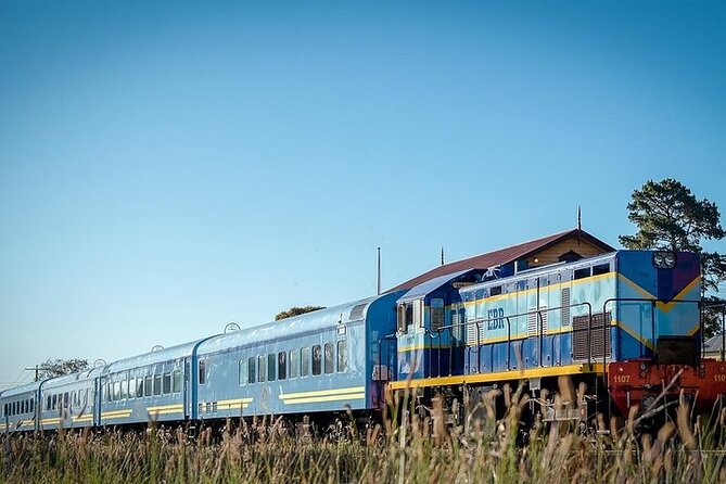 The Q Train - First Class For 10 - Lunch (Departing Drysdale) - Cancellation Policy