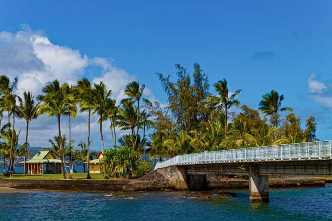 The Real Big Island: Volcanoes, Waterfalls, Beaches & Lunch - Who Would Enjoy This Tour?