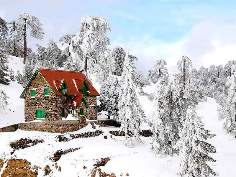 The Real Cyprus: Private Mini Bus Tour With Local Guide - The Value of a Private, Custom Tour