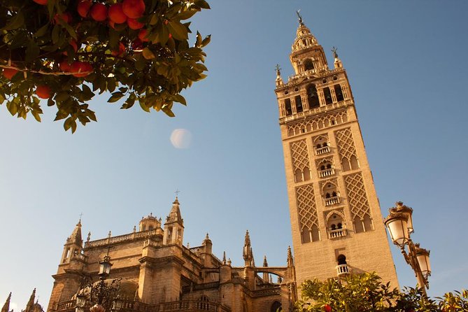 The Real Gems of Seville. Private Tour - Tour Details
