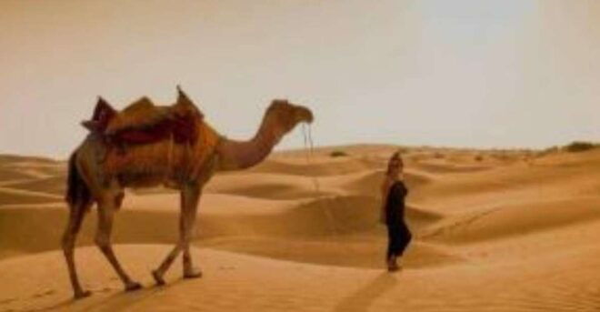 The Real Jodhpur Camel Safari In Desert Wita Marwadi Dinner - Directions