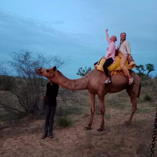 The Real Jodhpur Camel Safari In Desert Wita Marwadi Dinner - The Sum Up