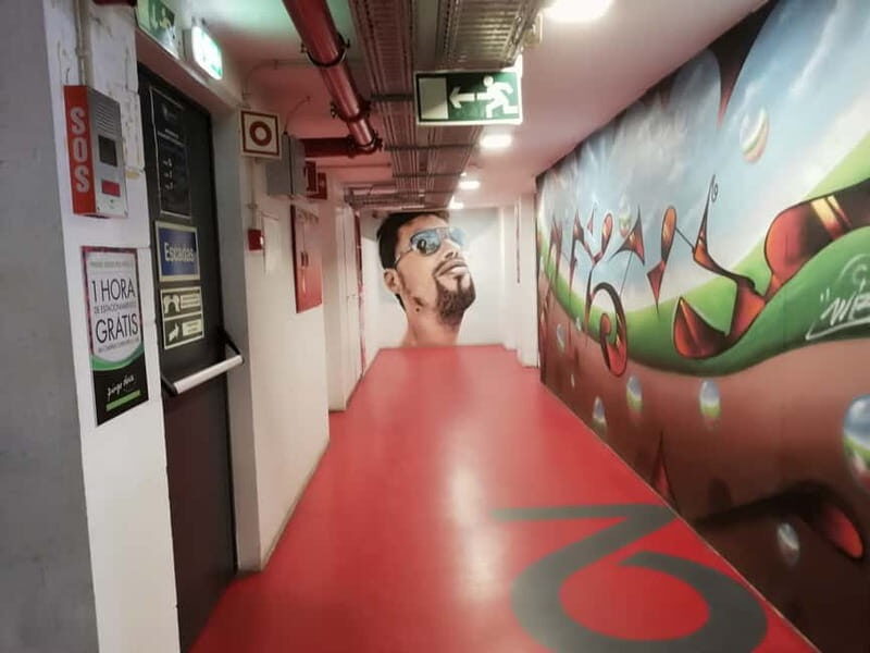 The Real Lisbon Street Art Private Guided Tour by Minivan - FAQ