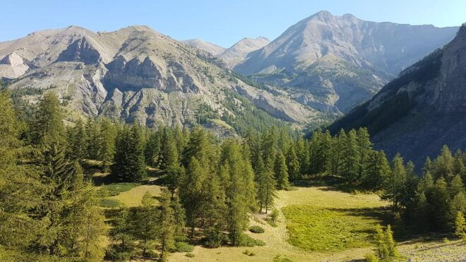 The Return of the Mythic Wolf in France by the Mercantour - The Mercantour National Park