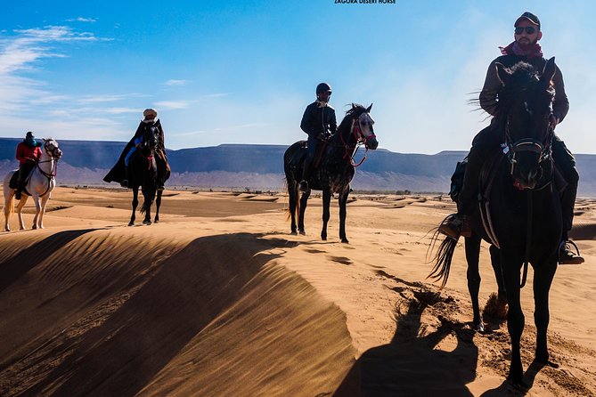 The Ride in the Desert 8 Days - Safety and Accessibility Guidelines