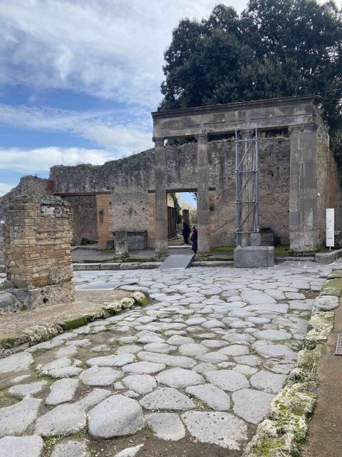 The Rise, Fall, and Rediscovery of Pompeii: An Audio Guide - Important Notes