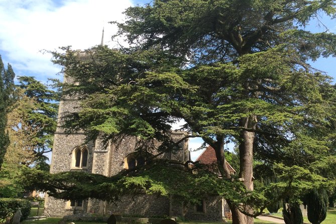 The Roman City of St Albans Private Tour - Pickup and Drop-off Details