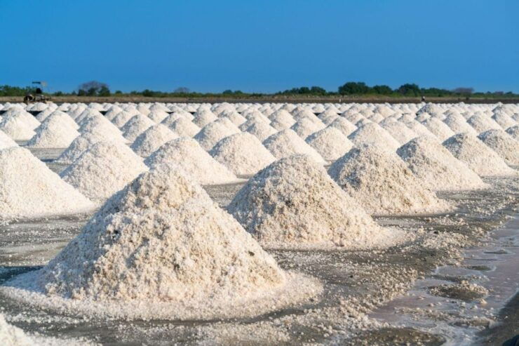 The Salt Pans of Marsala - Visit and Sunset in the Salt Pan - Tour Details