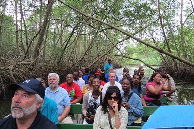 The Scarlet Ibis - Caroni Swamp Tour - Good To Know