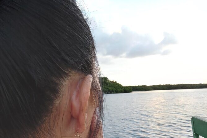 The Scarlet Ibis - Caroni Swamp Tour - FAQ