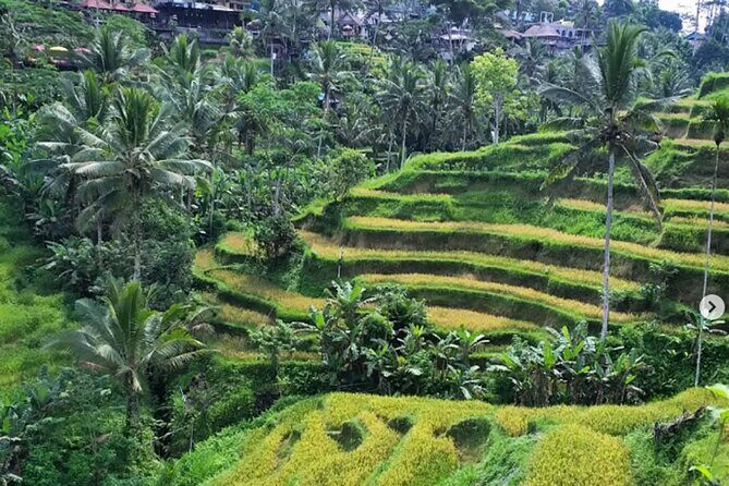 The scenery of the swamp is intertwined with the cultural life of Bali - Final Thoughts