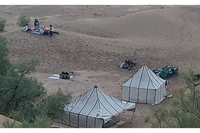 The Secret of the Camel Trekking Desert - Pricing and Value