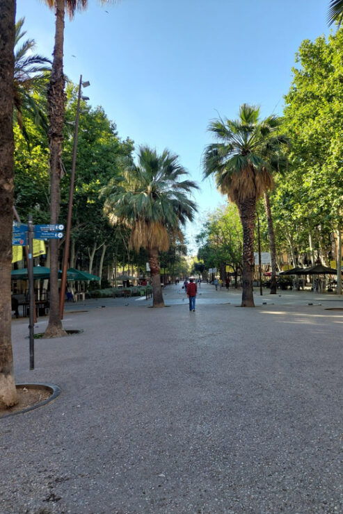 The Secrets of Raval - Booking Information