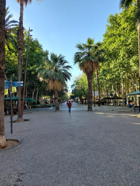 The Secrets of Raval - Customer Feedback