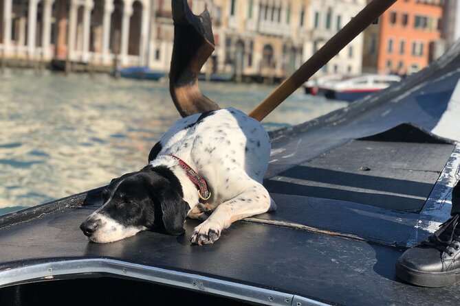 The Secrets of Venice: Introduction to the City & Gondola Ride - Traveler Photos and Reviews