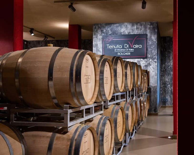 The Selections: visit and tasting in the Bolgheri Doc region - Good To Know