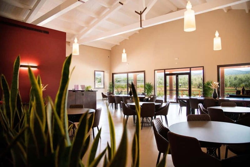 The Selections: visit and tasting in the Bolgheri Doc region - Who Would Enjoy This Tour?