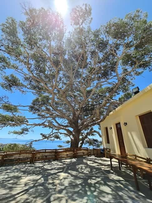 The selective food tour Feel like local from Heraklion - An Authentic Taste of Crete’s Countryside