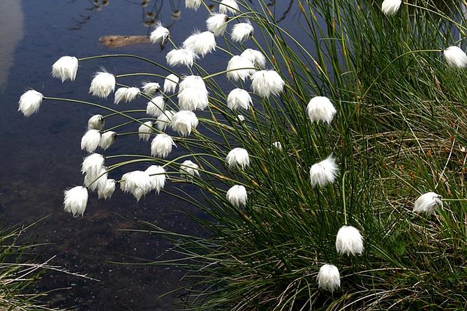 The Seven Rila Lakes Day Tour From Sofia - Frequently Asked Questions