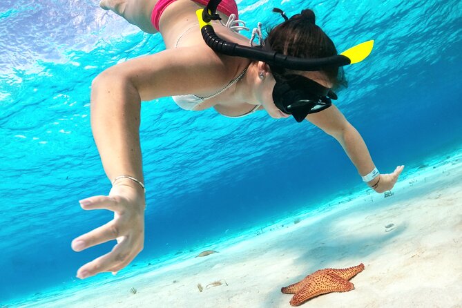 The Signature Cozumel Snorkel Tour - Tour Confirmation and Accessibility