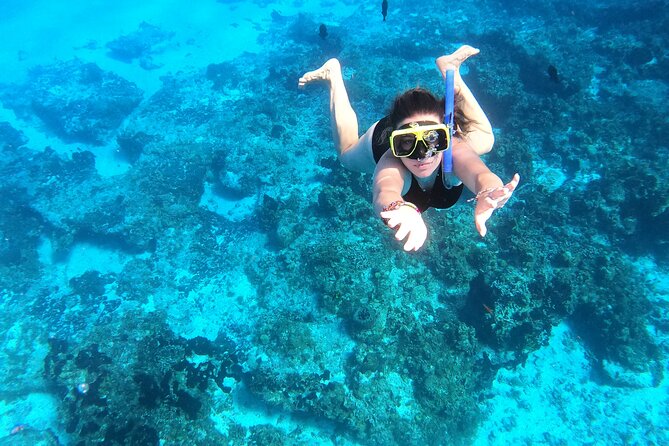 The Signature Cozumel Snorkel Tour - Medical Conditions and Participation