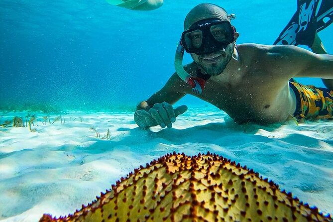 The Signature Cozumel Snorkel Tour - Snorkel Tour Experience and Feedback