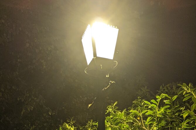 The Sinister Side of Shakespeares Stratford Walking Tour - Common Questions