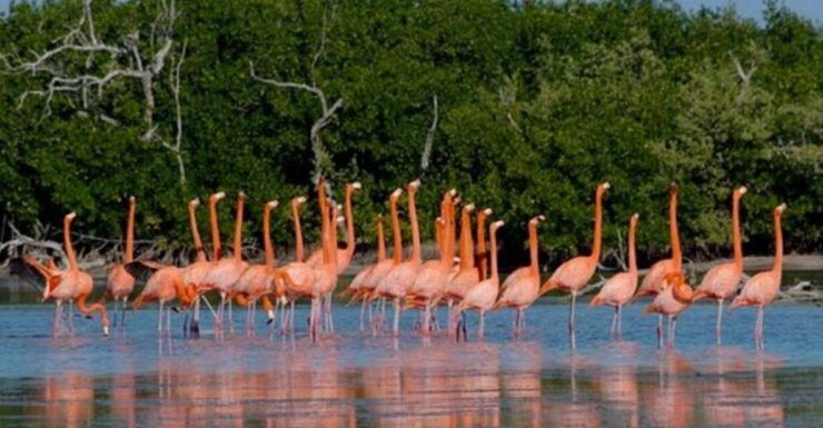 The Sisal Spring - Experience Highlights