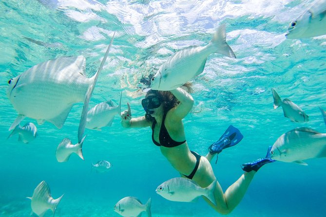 The Sky Snorkel by Private Boat - Meeting and Pickup Information