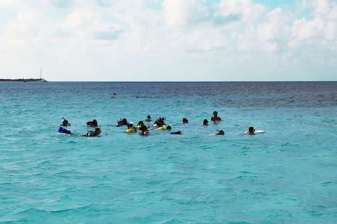 The Sky Snorkel by Private Boat - What to Expect During the Experience