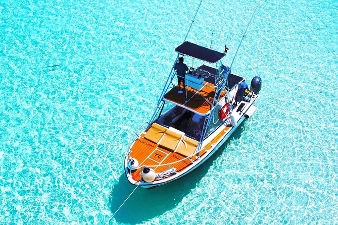 The Sky Snorkel by Private Boat - Positive Reviews From Previous Guests