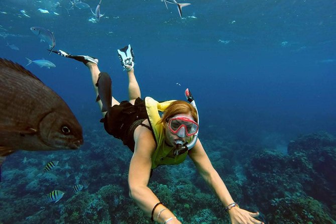 The Sky Snorkel by Private Boat - Common Questions