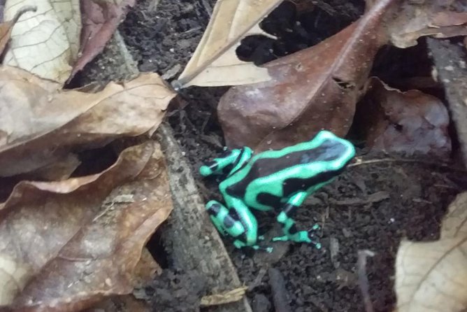 The Sloth Trail in La Fortuna, Arenal Volcano - Inclusions