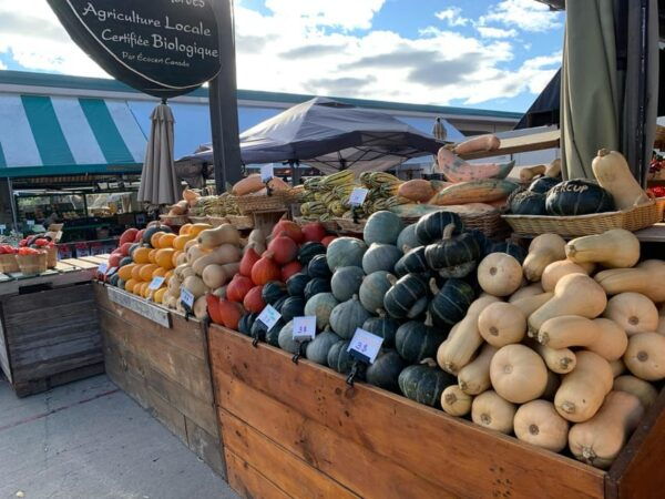 The (Small Group, Anti-Package) Old Port of Montreal Tour - Local Gastronomic Landmarks