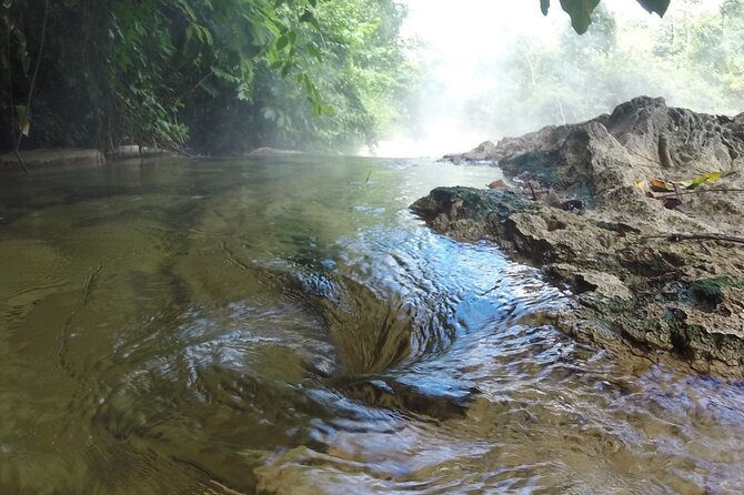 The Source of Happiness Amazon Expedition - Wildlife Encounters