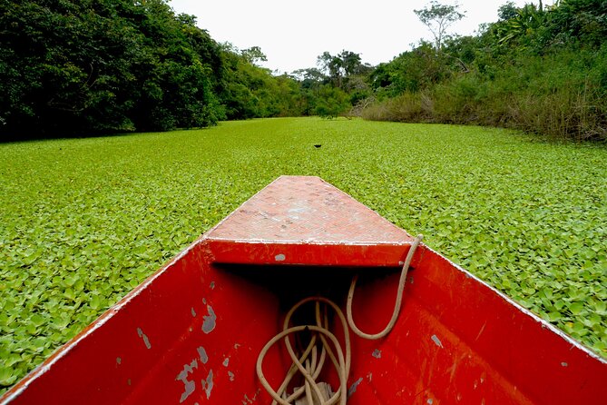 The Source of Happiness Amazon Expedition - Adventure Activities