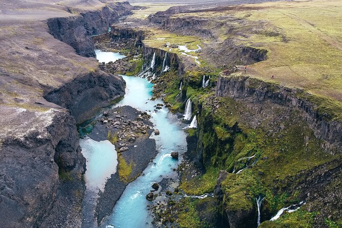 The South Adventure - Trekkings and Hidden Gems of Iceland - Wildlife Encounters: Spotting Icelandic Fauna
