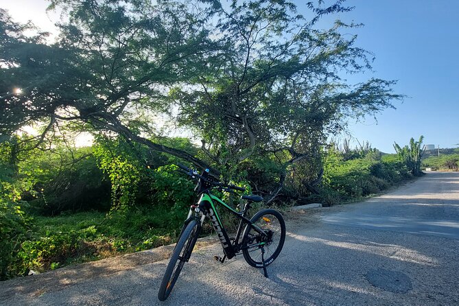 The Spanish Lagoon-Gold Mills & Nature Heritage E-Bike Aruba - E-Bike Tour Highlights