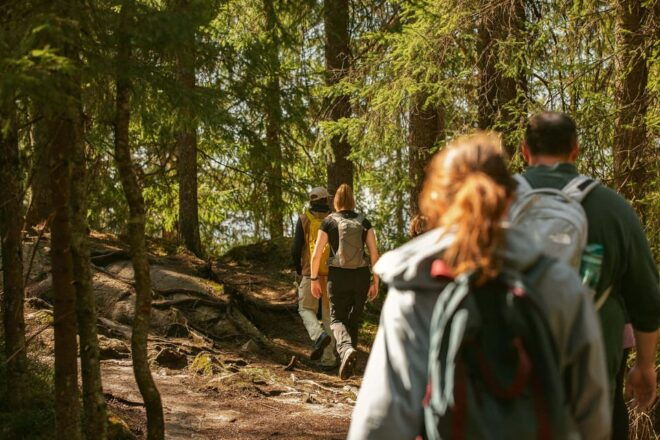 The Spectacular Holmenkollen Walk Private Tour - What to Expect