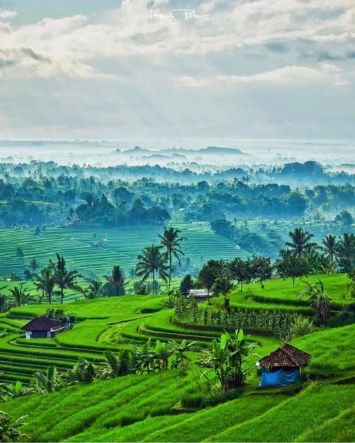 The Spectacular UNESCO World Heritage Tour of Bali - Itinerary Highlights
