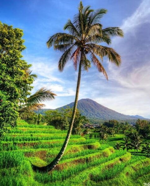 The Spectacular UNESCO World Heritage Tour of Bali - Tips for a Great Tour