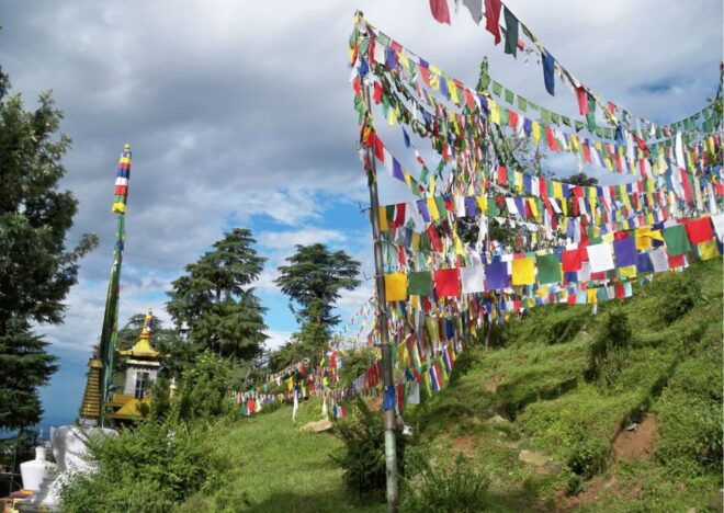 The Spiritual Trails of Dharamshala(Guided Walking Tour) - Inclusions